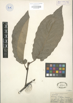 LE 01003208