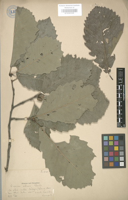 LE 01003209