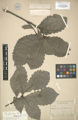 LE 01003212