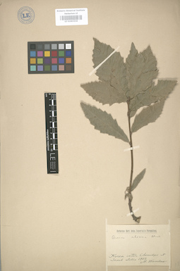 LE 01003216