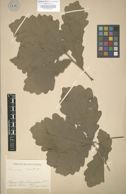 LE 01003224