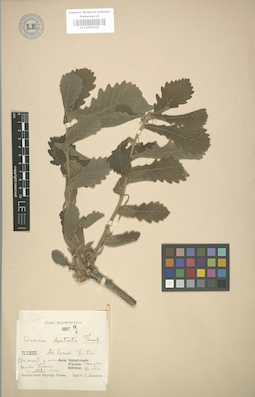 LE 01003225