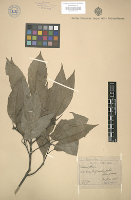LE 01003240