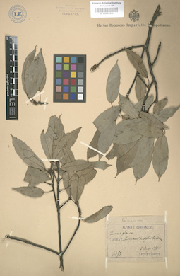 LE 01003241