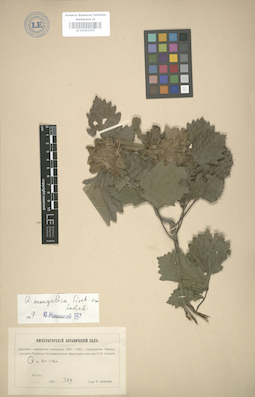 LE 01003247