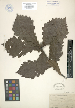 LE 01003249
