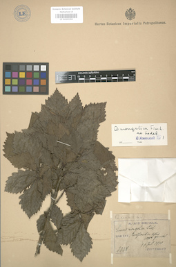 LE 01003250