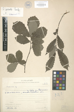 LE 01003256