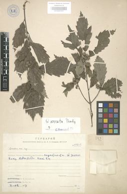 LE 01003257