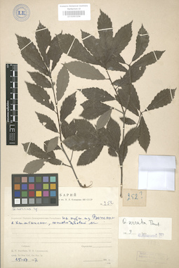 LE 01003258