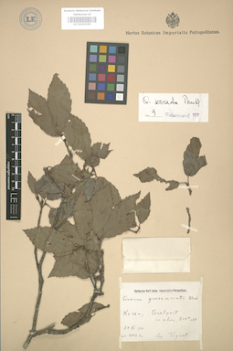 LE 01003259