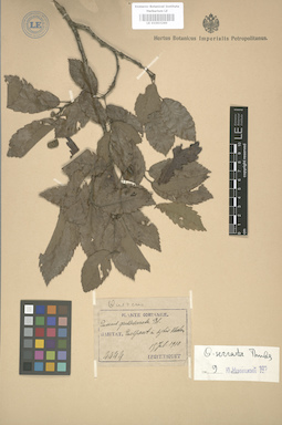 LE 01003260