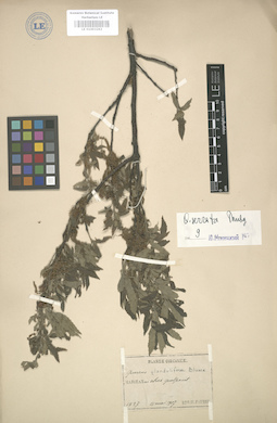 LE 01003262