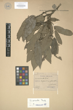 LE 01003263