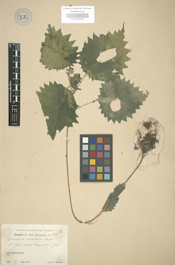 LE 01003266