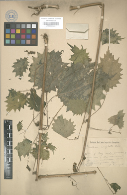 LE 01003269