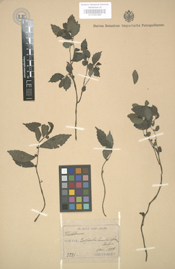 LE 01003280