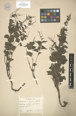 LE 01003282