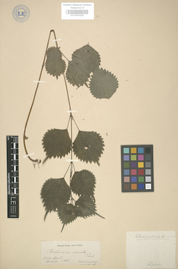 LE 01003283