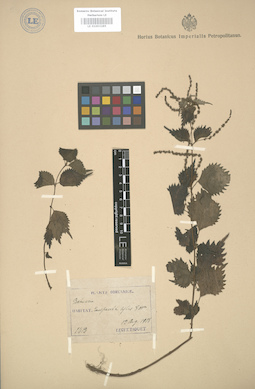 LE 01003285