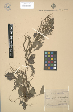 LE 01003287