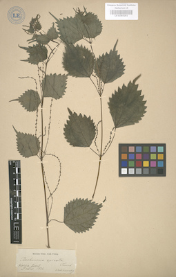 LE 01003292