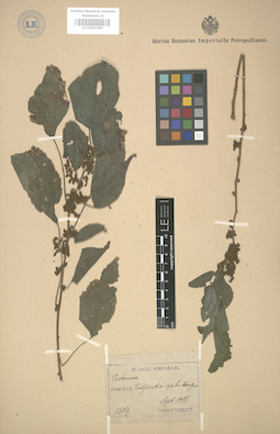 LE 01003295