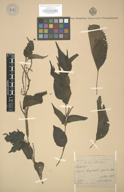 LE 01003297