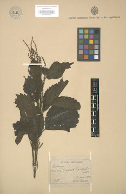 LE 01003302