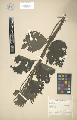 LE 01003304