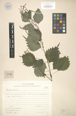 LE 01003310