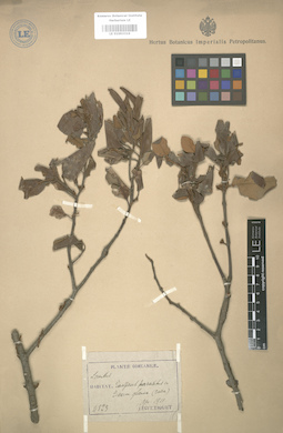 LE 01003316
