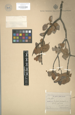LE 01003317