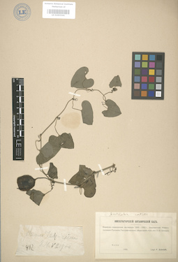 LE 01003341