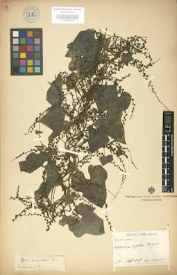 LE 01003344