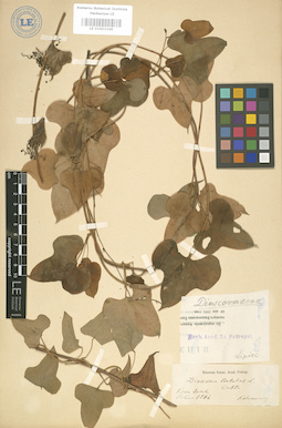 LE 01003349