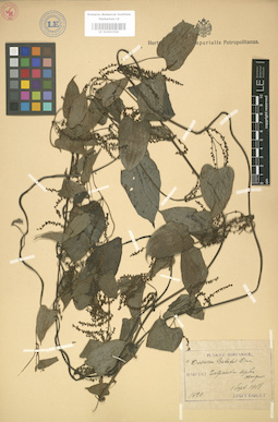 LE 01003350