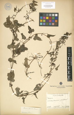 LE 01003354