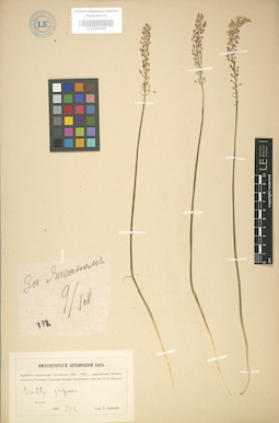 LE 01003365