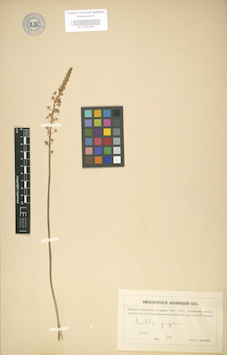 LE 01003366