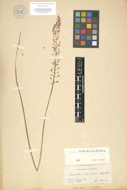 LE 01003369