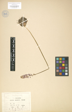 LE 01003370