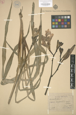LE 01003373