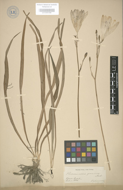 LE 01003380