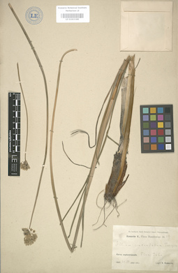 LE 01003389