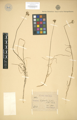 LE 01003392