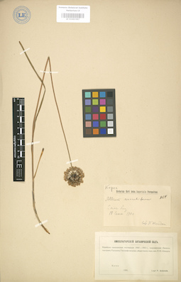 LE 01003397