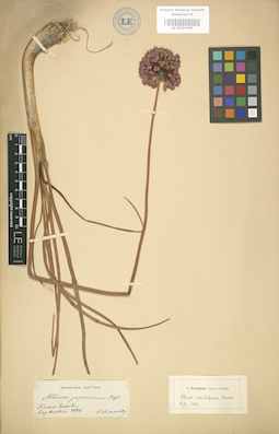 LE 01003399