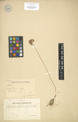 LE 01003400