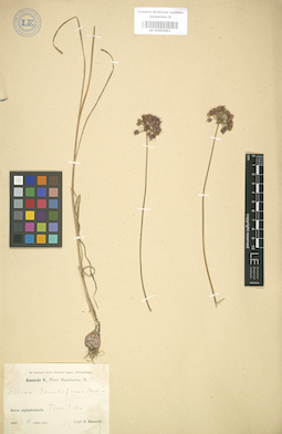 LE 01003401